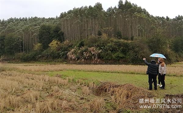 密云区陈老师带着爱徒寻龙点穴